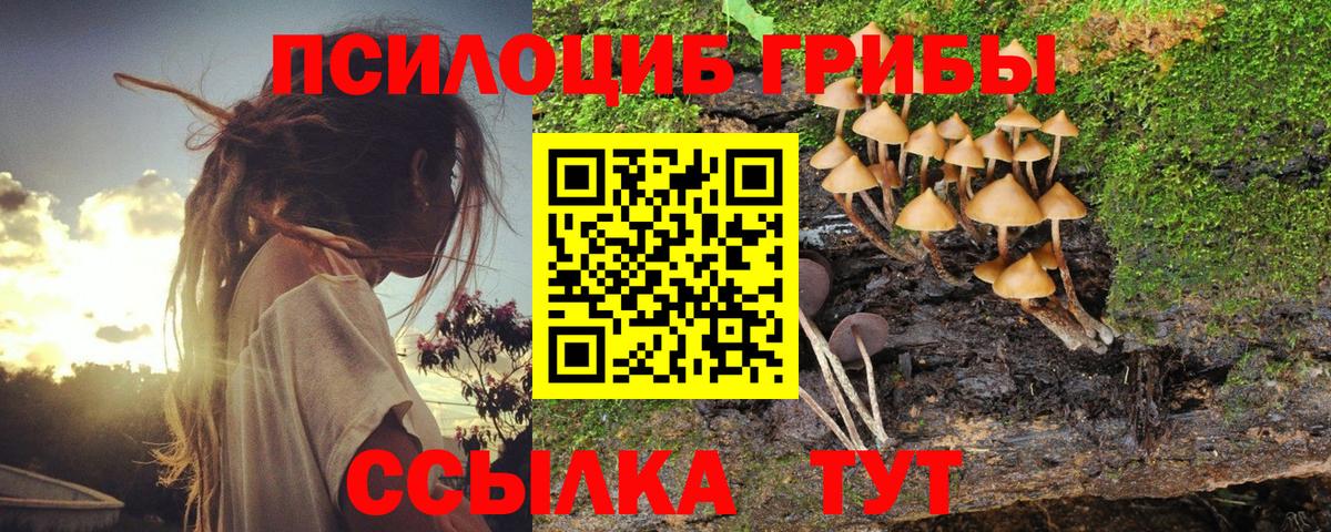 Кунгур  Галлюциногенные грибы мухоморы  Галлюциногенные грибы Psilocybe  Вход с VPN 